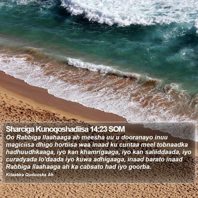 Sharciga Kunoqoshadiisa 14:23 SOM Bible Verse Image