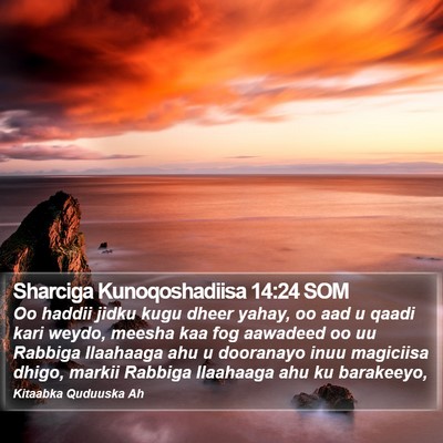 Sharciga Kunoqoshadiisa 14:24 SOM Bible Verse Image