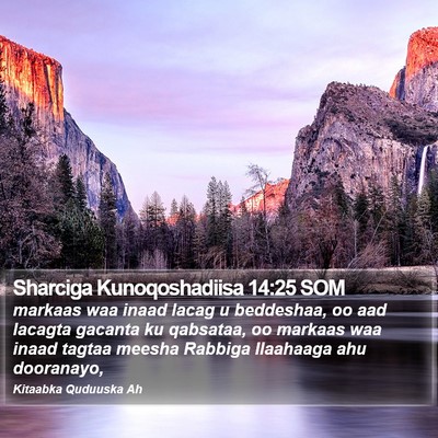 Sharciga Kunoqoshadiisa 14:25 SOM Bible Verse Image