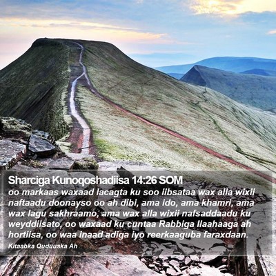 Sharciga Kunoqoshadiisa 14:26 SOM Bible Verse Image