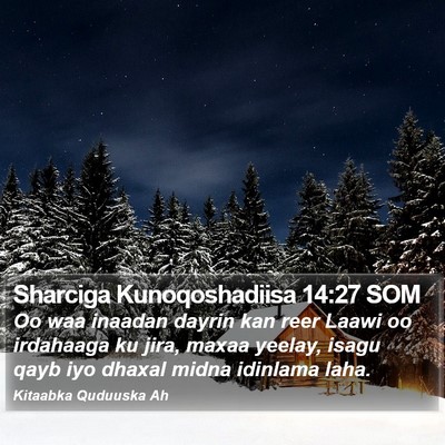 Sharciga Kunoqoshadiisa 14:27 SOM Bible Verse Image