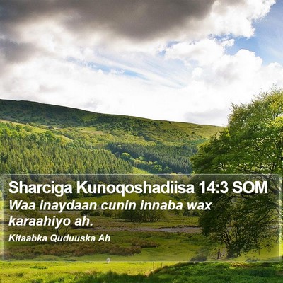 Sharciga Kunoqoshadiisa 14:3 SOM Bible Verse Image