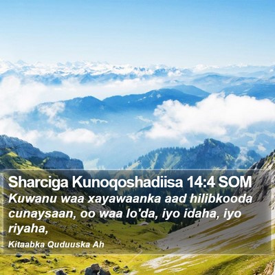 Sharciga Kunoqoshadiisa 14:4 SOM Bible Verse Image
