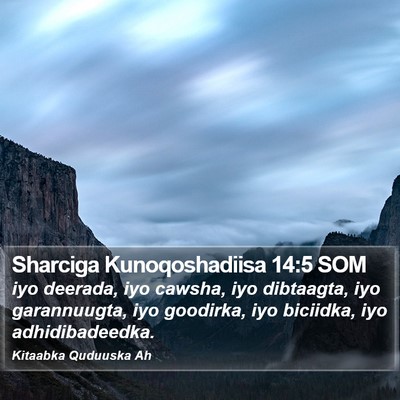 Sharciga Kunoqoshadiisa 14:5 SOM Bible Verse Image