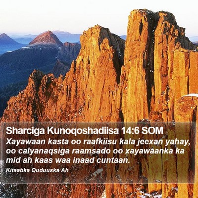 Sharciga Kunoqoshadiisa 14:6 SOM Bible Verse Image