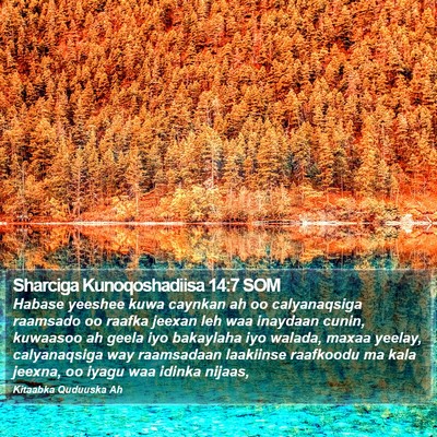 Sharciga Kunoqoshadiisa 14:7 SOM Bible Verse Image