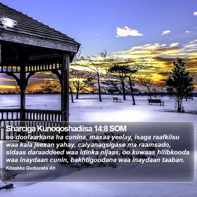 Sharciga Kunoqoshadiisa 14:8 SOM Bible Verse Image