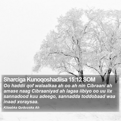 Sharciga Kunoqoshadiisa 15:12 SOM Bible Verse Image