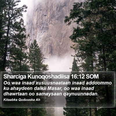 Sharciga Kunoqoshadiisa 16:12 SOM Bible Verse Image