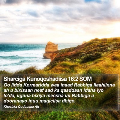 Sharciga Kunoqoshadiisa 16:2 SOM Bible Verse Image