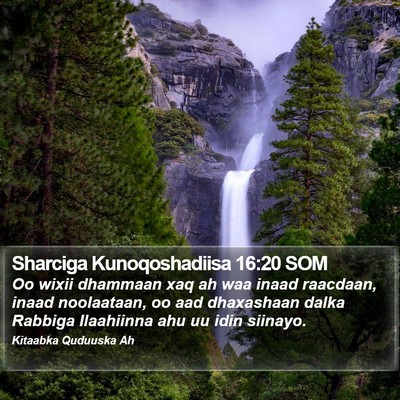 Sharciga Kunoqoshadiisa 16:20 SOM Bible Verse Image
