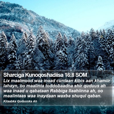 Sharciga Kunoqoshadiisa 16:8 SOM Bible Verse Image