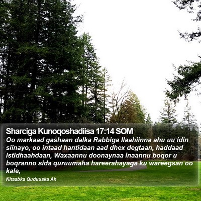 Sharciga Kunoqoshadiisa 17:14 SOM Bible Verse Image