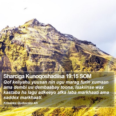 Sharciga Kunoqoshadiisa 19:15 SOM Bible Verse Image