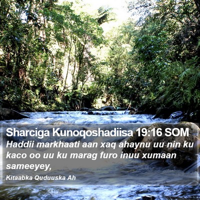 Sharciga Kunoqoshadiisa 19:16 SOM Bible Verse Image