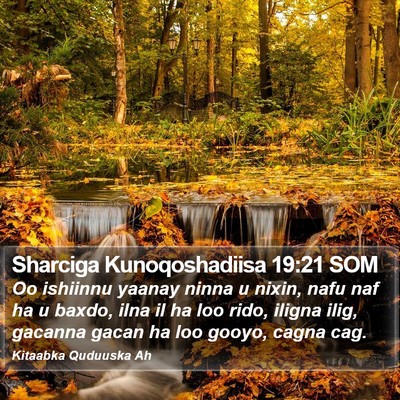 Sharciga Kunoqoshadiisa 19:21 SOM Bible Verse Image