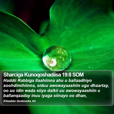 Sharciga Kunoqoshadiisa 19:8 SOM Bible Verse Image