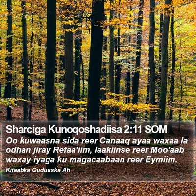 Sharciga Kunoqoshadiisa 2:11 SOM Bible Verse Image