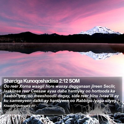 Sharciga Kunoqoshadiisa 2:12 SOM Bible Verse Image