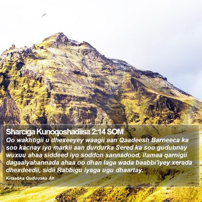 Sharciga Kunoqoshadiisa 2:14 SOM Bible Verse Image