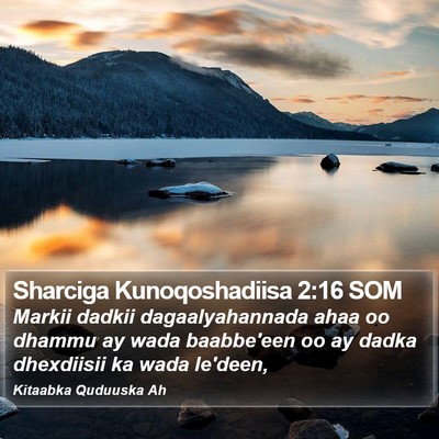 Sharciga Kunoqoshadiisa 2:16 SOM Bible Verse Image