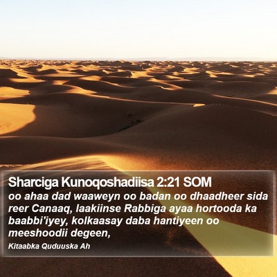 Sharciga Kunoqoshadiisa 2:21 SOM Bible Verse Image