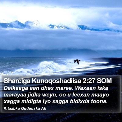 Sharciga Kunoqoshadiisa 2:27 SOM Bible Verse Image