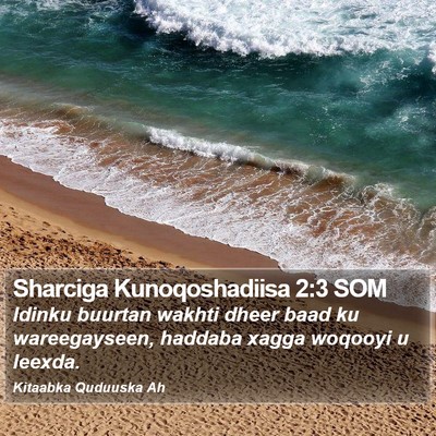 Sharciga Kunoqoshadiisa 2:3 SOM Bible Verse Image