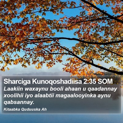Sharciga Kunoqoshadiisa 2:35 SOM Bible Verse Image
