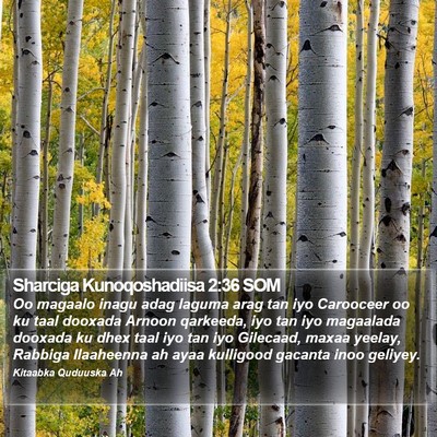 Sharciga Kunoqoshadiisa 2:36 SOM Bible Verse Image