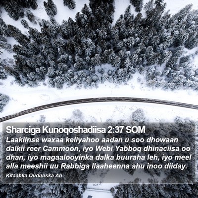 Sharciga Kunoqoshadiisa 2:37 SOM Bible Verse Image