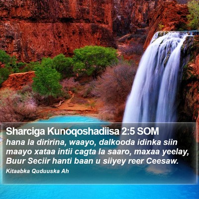Sharciga Kunoqoshadiisa 2:5 SOM Bible Verse Image