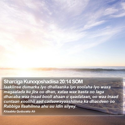 Sharciga Kunoqoshadiisa 20:14 SOM Bible Verse Image