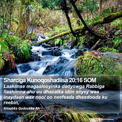 Sharciga Kunoqoshadiisa 20:16 SOM Bible Verse Image