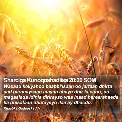Sharciga Kunoqoshadiisa 20:20 SOM Bible Verse Image