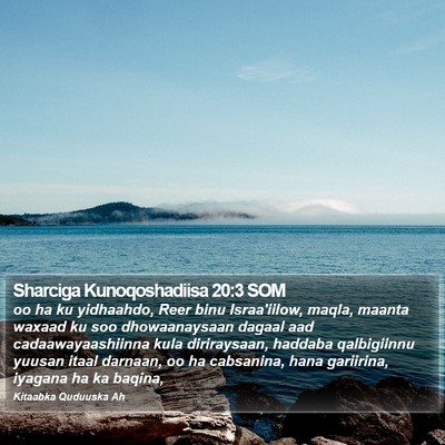 Sharciga Kunoqoshadiisa 20:3 SOM Bible Verse Image