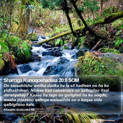 Sharciga Kunoqoshadiisa 20:8 SOM Bible Verse Image