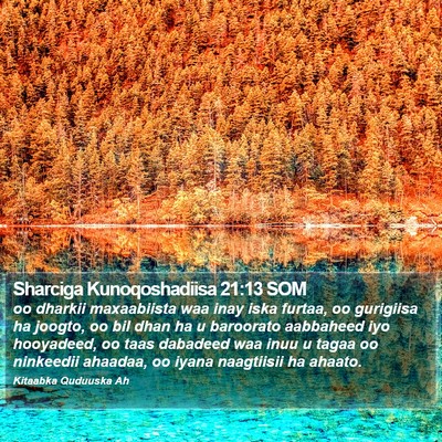 Sharciga Kunoqoshadiisa 21:13 SOM Bible Verse Image