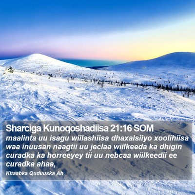 Sharciga Kunoqoshadiisa 21:16 SOM Bible Verse Image
