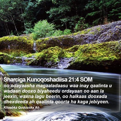 Sharciga Kunoqoshadiisa 21:4 SOM Bible Verse Image