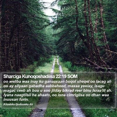 Sharciga Kunoqoshadiisa 22:19 SOM Bible Verse Image