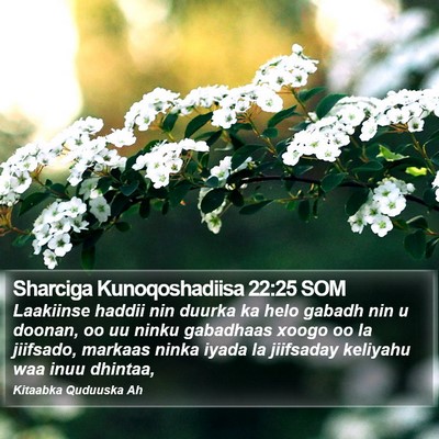Sharciga Kunoqoshadiisa 22:25 SOM Bible Verse Image