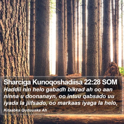 Sharciga Kunoqoshadiisa 22:28 SOM Bible Verse Image