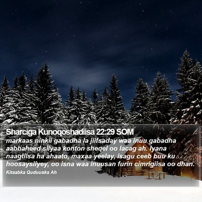 Sharciga Kunoqoshadiisa 22:29 SOM Bible Verse Image
