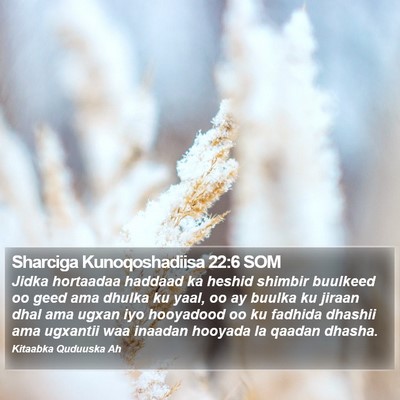 Sharciga Kunoqoshadiisa 22:6 SOM Bible Verse Image