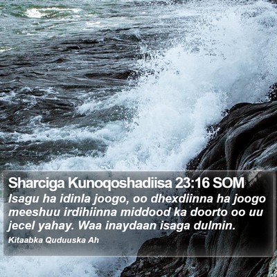 Sharciga Kunoqoshadiisa 23:16 SOM Bible Verse Image