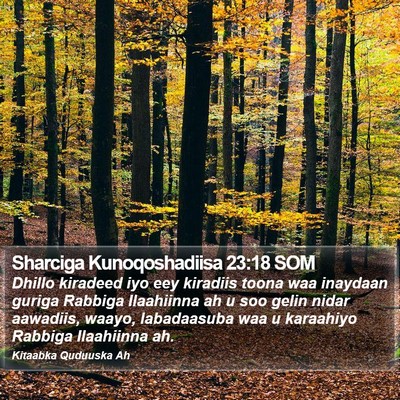 Sharciga Kunoqoshadiisa 23:18 SOM Bible Verse Image