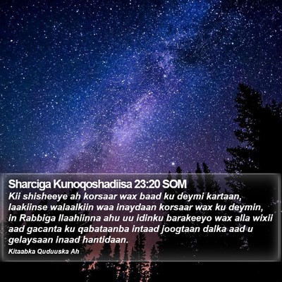 Sharciga Kunoqoshadiisa 23:20 SOM Bible Verse Image