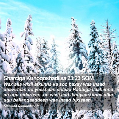 Sharciga Kunoqoshadiisa 23:23 SOM Bible Verse Image