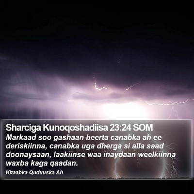Sharciga Kunoqoshadiisa 23:24 SOM Bible Verse Image